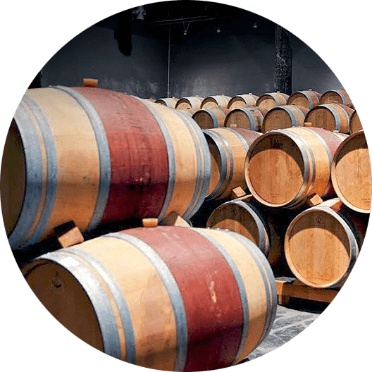 vivencias con gorka ruta del vino vivencias con gorka ruta del vino